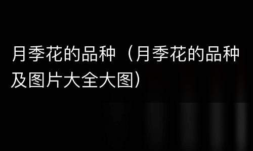 月季花的品种（月季花的品种及图片大全大图）