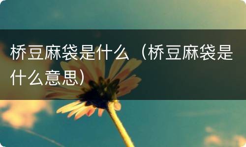 桥豆麻袋是什么（桥豆麻袋是什么意思）