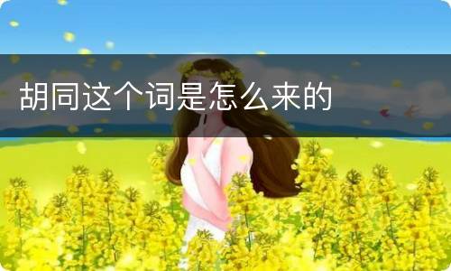 胡同这个词是怎么来的