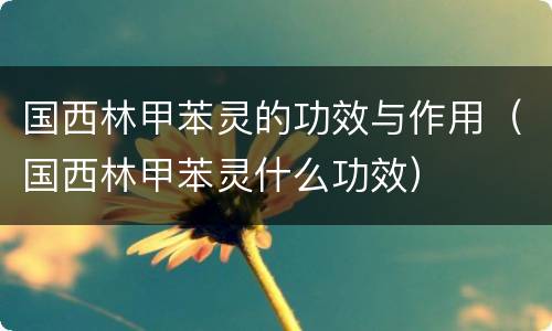 国西林甲苯灵的功效与作用（国西林甲苯灵什么功效）