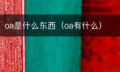 oa是什么东西（oa有什么）