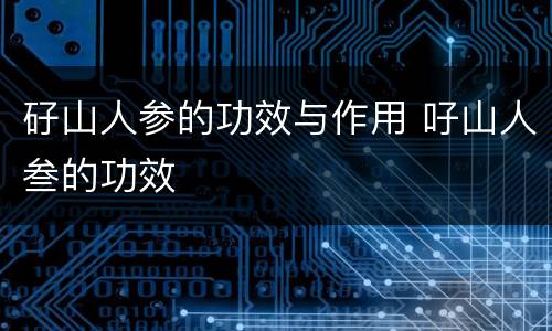 矷山人参的功效与作用 吇山人叁的功效