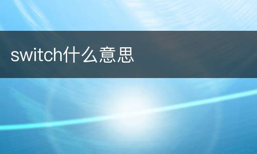 switch什么意思