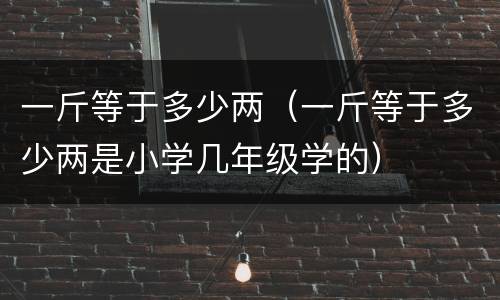 一斤等于多少两（一斤等于多少两是小学几年级学的）