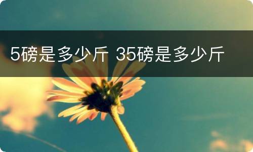 5磅是多少斤 35磅是多少斤