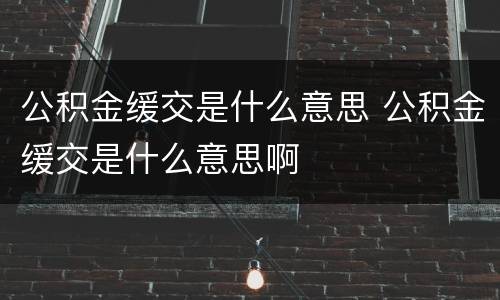公积金缓交是什么意思 公积金缓交是什么意思啊