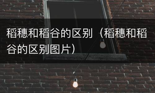 稻穗和稻谷的区别（稻穗和稻谷的区别图片）