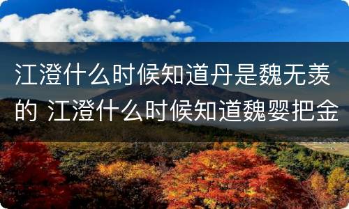 江澄什么时候知道丹是魏无羡的 江澄什么时候知道魏婴把金丹给了自己