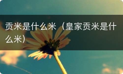 贡米是什么米（皇家贡米是什么米）