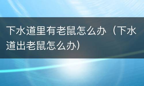 下水道里有老鼠怎么办（下水道出老鼠怎么办）