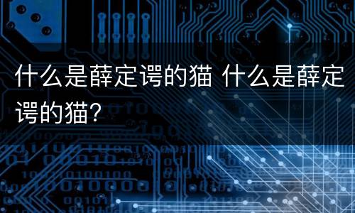 什么是薛定谔的猫 什么是薛定谔的猫?