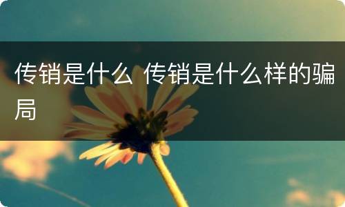 传销是什么 传销是什么样的骗局