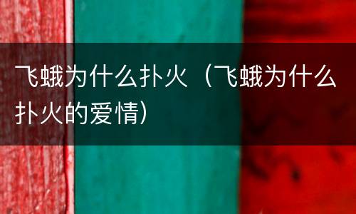 飞蛾为什么扑火（飞蛾为什么扑火的爱情）