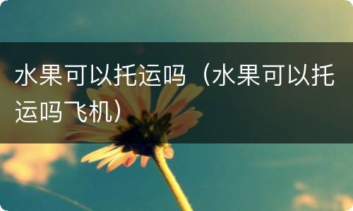 水果可以托运吗（水果可以托运吗飞机）