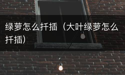 绿萝怎么扦插（大叶绿萝怎么扦插）