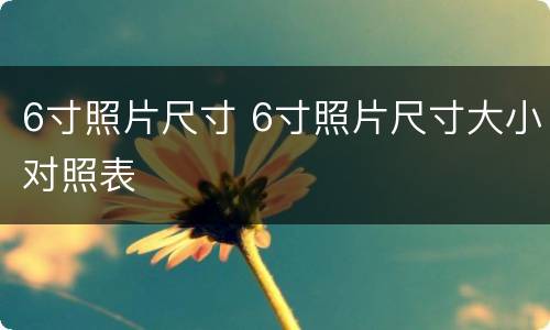 6寸照片尺寸 6寸照片尺寸大小对照表