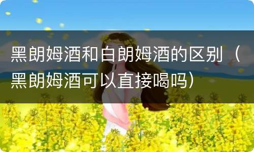 黑朗姆酒和白朗姆酒的区别（黑朗姆酒可以直接喝吗）