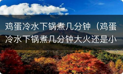鸡蛋冷水下锅煮几分钟（鸡蛋冷水下锅煮几分钟大火还是小火）