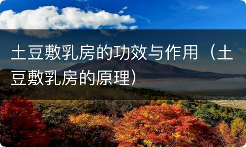 土豆敷乳房的功效与作用（土豆敷乳房的原理）