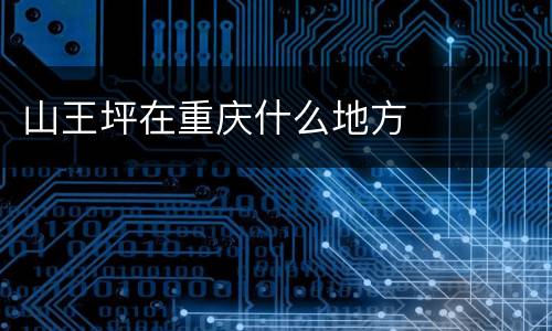 山王坪在重庆什么地方