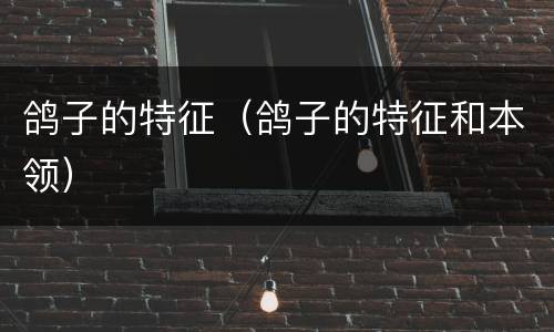 鸽子的特征（鸽子的特征和本领）
