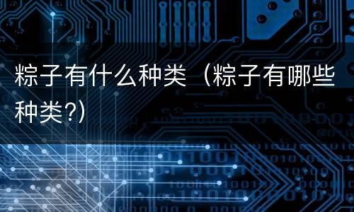 粽子有什么种类（粽子有哪些种类?）