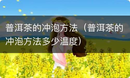普洱茶的冲泡方法（普洱茶的冲泡方法多少温度）