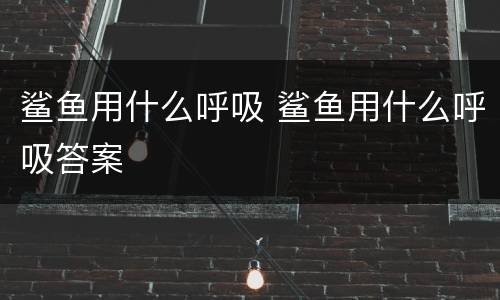 鲨鱼用什么呼吸 鲨鱼用什么呼吸答案