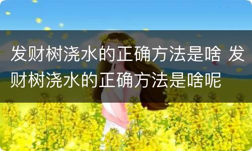 发财树浇水的正确方法是啥 发财树浇水的正确方法是啥呢