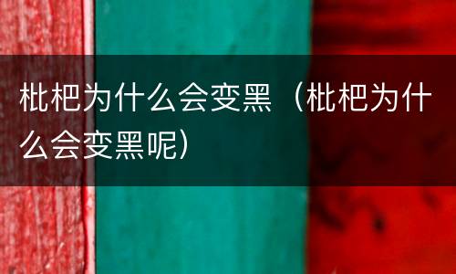 枇杷为什么会变黑（枇杷为什么会变黑呢）