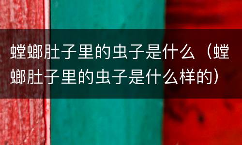 螳螂肚子里的虫子是什么（螳螂肚子里的虫子是什么样的）