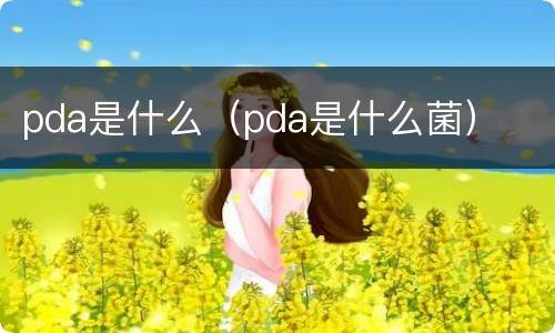 pda是什么（pda是什么菌）