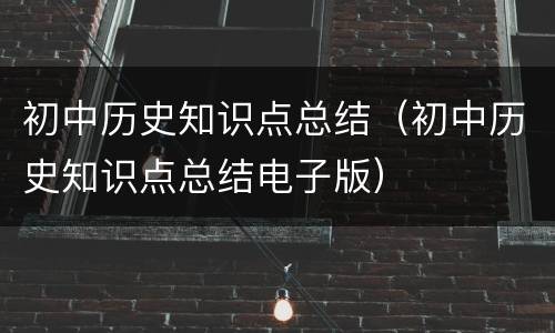 初中历史知识点总结（初中历史知识点总结电子版）