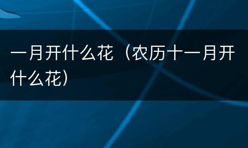 一月开什么花（农历十一月开什么花）