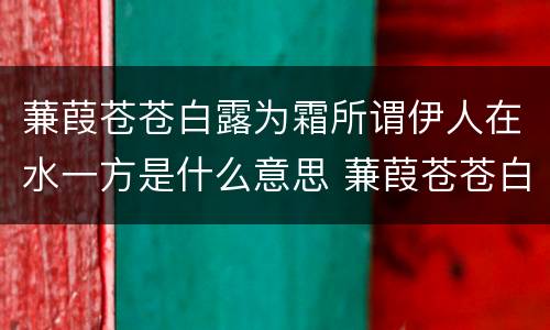 蒹葭苍苍白露为霜所谓伊人在水一方是什么意思 蒹葭苍苍白露为霜所谓伊人在水一方