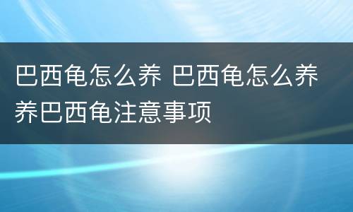 巴西龟怎么养 巴西龟怎么养 养巴西龟注意事项