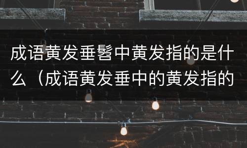 成语黄发垂髫中黄发指的是什么（成语黄发垂中的黄发指的是）