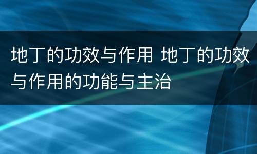 地丁的功效与作用 地丁的功效与作用的功能与主治