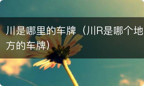 川是哪里的车牌（川R是哪个地方的车牌）