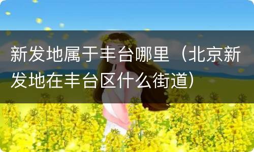 新发地属于丰台哪里（北京新发地在丰台区什么街道）