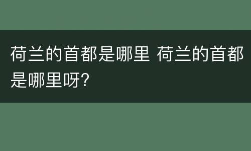 荷兰的首都是哪里 荷兰的首都是哪里呀?