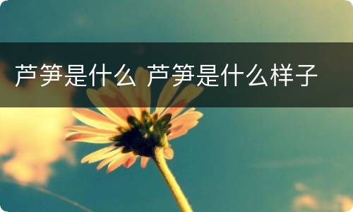 芦笋是什么 芦笋是什么样子