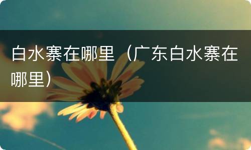 白水寨在哪里（广东白水寨在哪里）