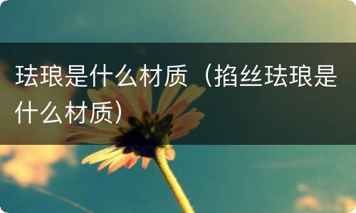 珐琅是什么材质（掐丝珐琅是什么材质）