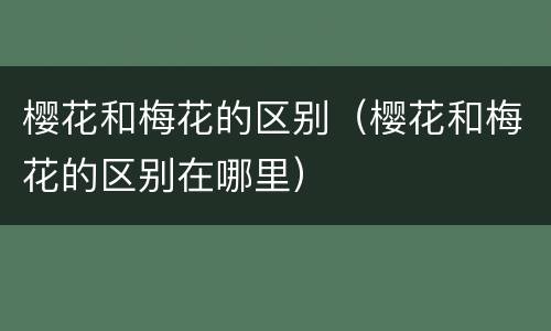 樱花和梅花的区别（樱花和梅花的区别在哪里）
