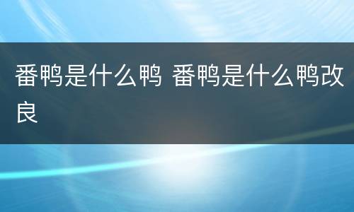 番鸭是什么鸭 番鸭是什么鸭改良