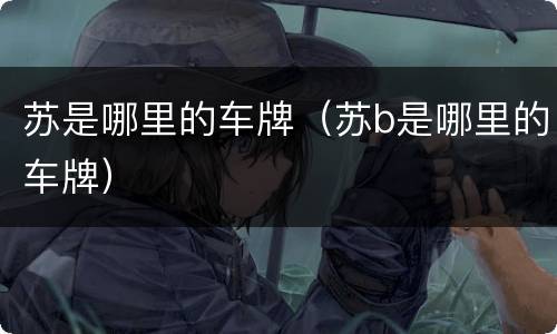 苏是哪里的车牌（苏b是哪里的车牌）