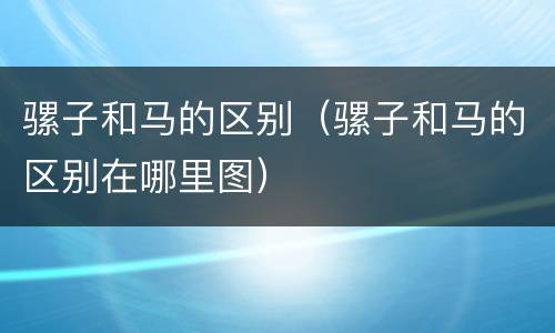 骡子和马的区别（骡子和马的区别在哪里图）