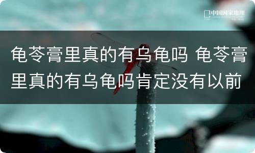龟苓膏里真的有乌龟吗 龟苓膏里真的有乌龟吗肯定没有以前真的有