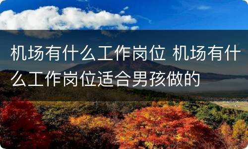 机场有什么工作岗位 机场有什么工作岗位适合男孩做的
